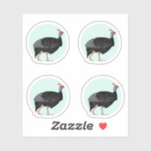 Ilustração de galinha guineense