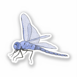 Adesivo Ilustração do vetor Dragonfly