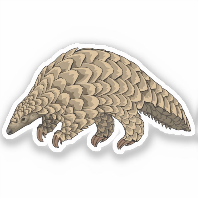 Adesivo Ilustração do vetor Pangolin gigante (Frente)