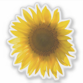 Adesivo Imagem de girassol amarelo real