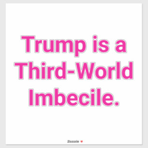 Adesivo Imbecil do Terceiro Mundo Trump Hankamer Artjunkha
