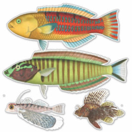 Adesivo Impressão Artista Ilustração de Peixes Tropicais V