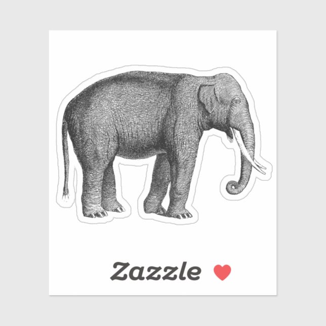 Adesivo Impressão de Elefantes Asiáticos (Folha)