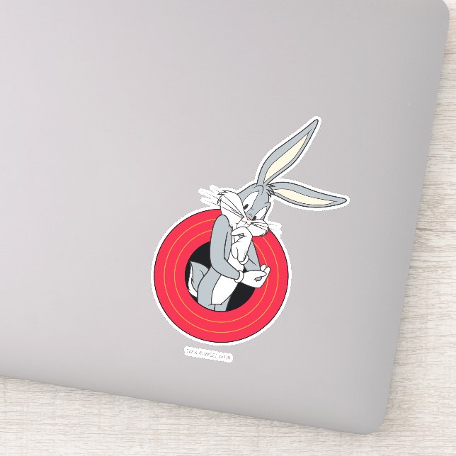 Adesivo INSETOS BUNNY™ através de Rings LOONEY TUNES™ (Detalhe)