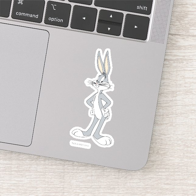 Adesivo INSETOS BUNNY™ | Mãos em Hips (Detalhe)