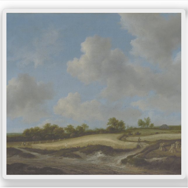 Adesivo Jacob van Ruisdael - Paisagem com um campo de roda (Frente)