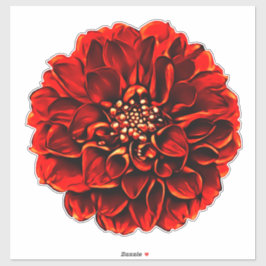Adesivo Janto Vermelho Escuro Plate Dahlia Pinnata Flor
