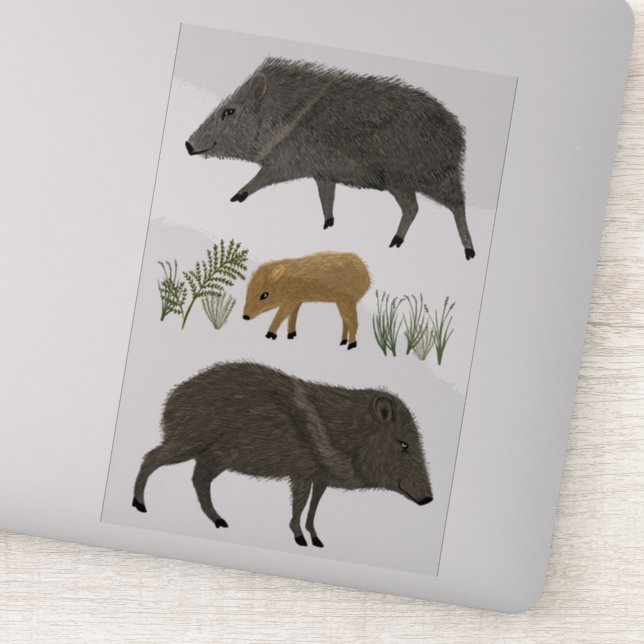 Adesivo Javelina Família Desert Animais Coloridos Arte Láp (Detalhe)