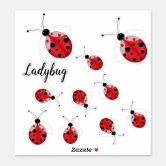 Adesivo Ladybug e Cat Noir, Sortudo e encantador