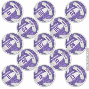 Adesivo jogadores de vôlei branco roxo e girino nomeiam pe