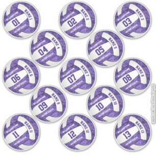Adesivo jogadores de vôlei branco roxo e girino nomeiam pe
