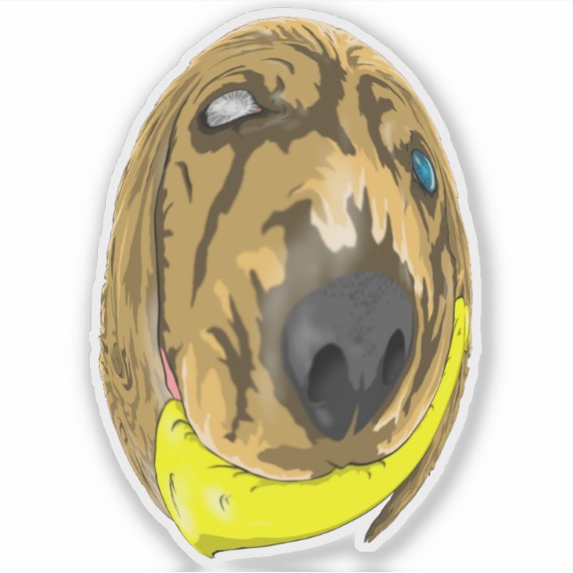 Adesivo Keys & Banana, o cocker miniatura spaniel 2 (Frente)