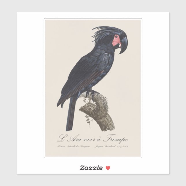 Adesivo L' Ara Noir a Trompe / Palm Cockatoo (Folha)