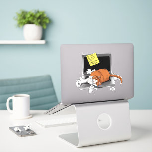 Adesivo Laptop Engraçado de Laranja Cat