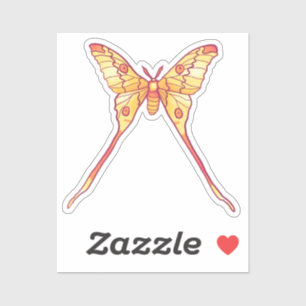 Adesivo Laranja Luna Moth Art - Arte Insetada Colorida