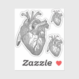 Adesivo Large Labelled Vintage Anatomical Heart, Black