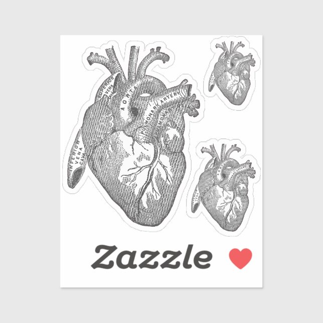 Adesivo Large Labelled Vintage Anatomical Heart, Black  (Folha)