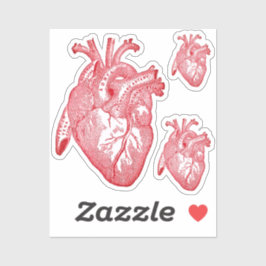 Adesivo Large Labelled Vintage Anatomical Heart, Red