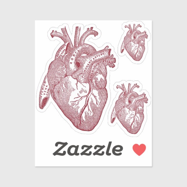 Adesivo Large Labelled Vintage Anatomical Heart, Red (Folha)