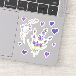 Adesivo Lave delicada Mínima da Proveniência de Aquarela C