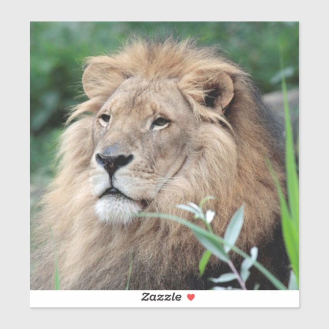 Adesivo Leão 021 (Folha)