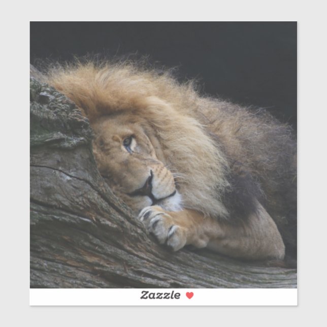 Adesivo Leão 030 (Folha)