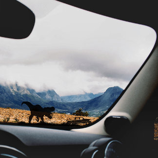 Adesivo Legal Dinossauro T-rex para Caminhão de Automóveis