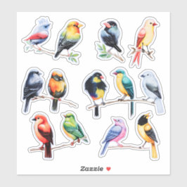 Adesivo Leitura de Pássaros de Aquarela