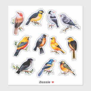 Adesivo Leitura de Pássaros de Aquarela