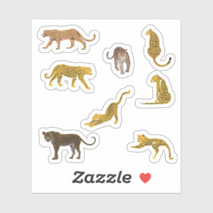 Adesivo Leopardo-Stickers