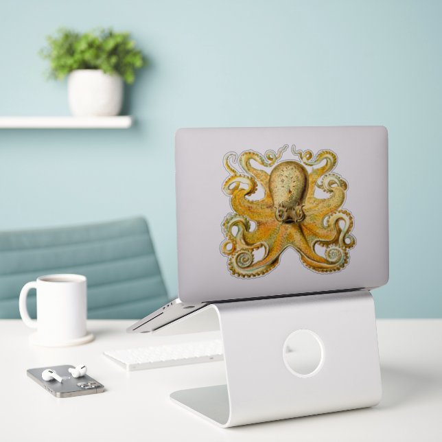 Adesivo Libere o seu Internet Explorer com o Octopus Vinta (Laptop na mesa)
