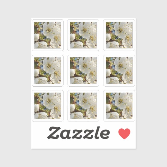 Adesivo Linda Grade Springflower (Folha)