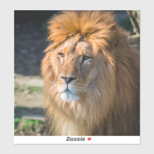Adesivo Lion 013