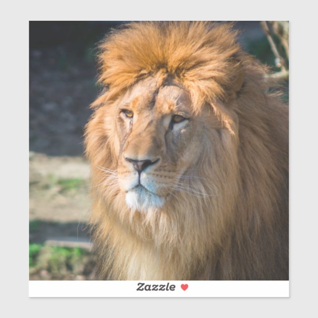 Adesivo Lion 013 (Folha)