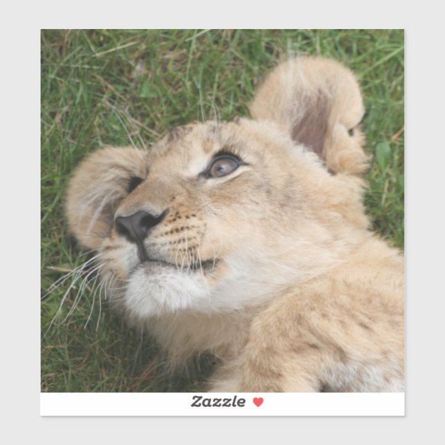 Adesivo Lion 022 (Folha)