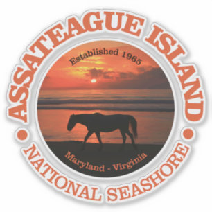 Adesivo Litoral do nacional da ilha de Assateague