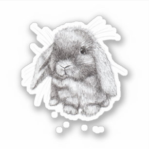 Adesivo Lop Eared Bunny Rabbit Sketch Mens Mulheres Crianç