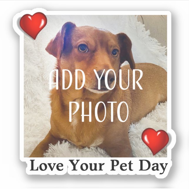 Adesivo Love Your Pet Day (Frente)