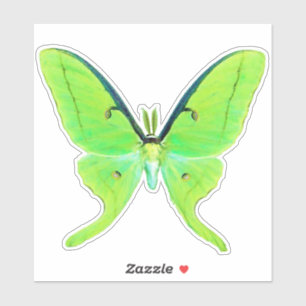 Adesivo Luna Moth - Verde limão e verde claro