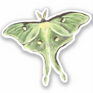 Adesivo Luna Moth Vinyl Sticker