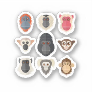 Adesivo Macaco Chimpanzé Gorila Macaco-aranha Esquilo M