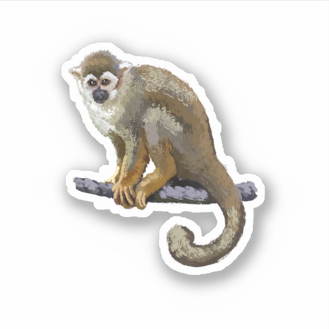 Adesivo Macaco-de-cheiro (Frente)