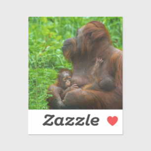 Adesivo Mãe e Bebês Orangutan