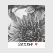 Mães brancas e pretas