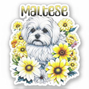 Adesivo Maltês - Pequeno Cachorro Branco Bree in Yellow Fl