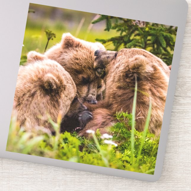 Adesivo Mamãe urso cuidando de seus dois filhotes, Lago Cl (Detalhe)