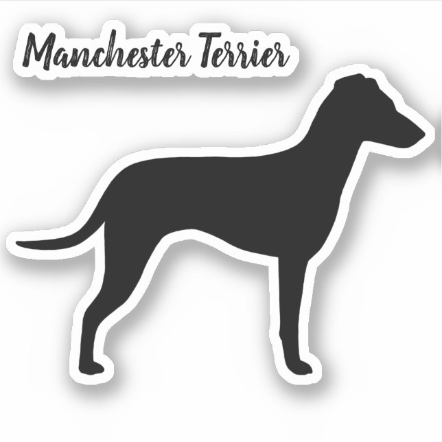 Adesivo Manchester Terrier Silhouette com Ouvidos Naturais (Frente)