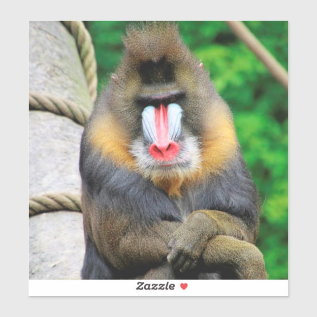 Adesivo Mandrill 001 (Folha)