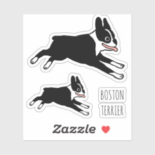 Adesivo Manipuladores de Cartoon Feliz em Boston Terrier