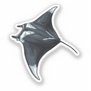 Adesivo Manta ray